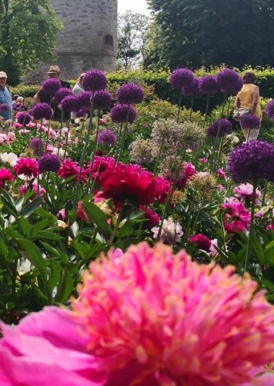 blumen blumen
