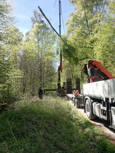 maibaum26