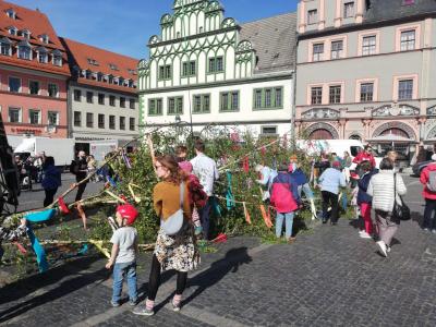 maibaum26