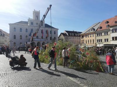 Maibaum 