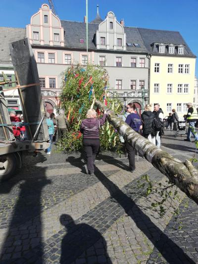 Maibaum 