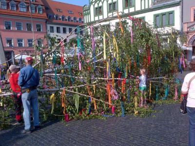 Maibaum Maibaum