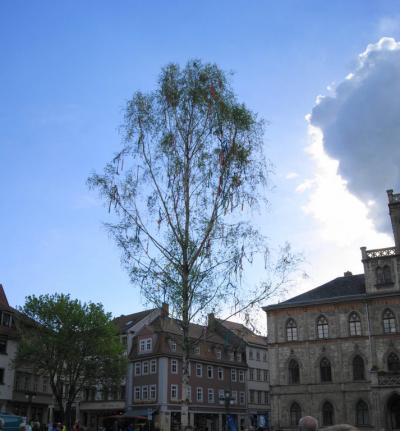 ...und die Sonne kommt raus.