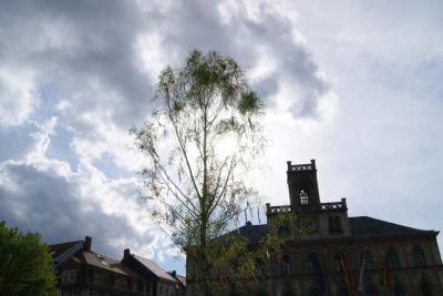 der Maibaum der IG BAU vertreibt auch dunkle Wolken