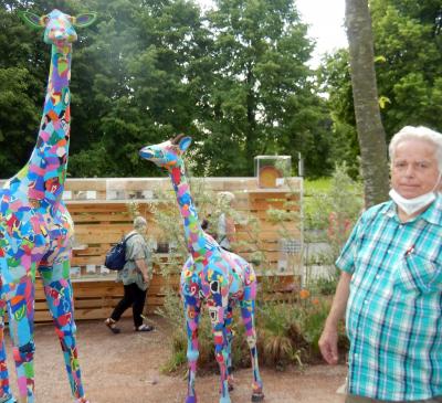 giraffe giraffe