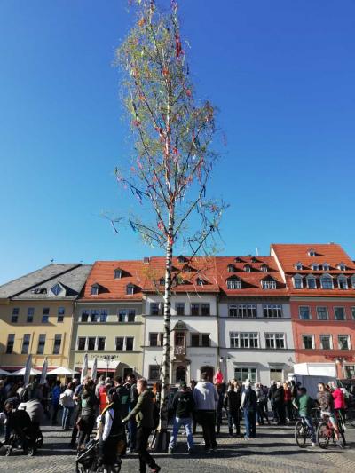 Maibaum Maibaum