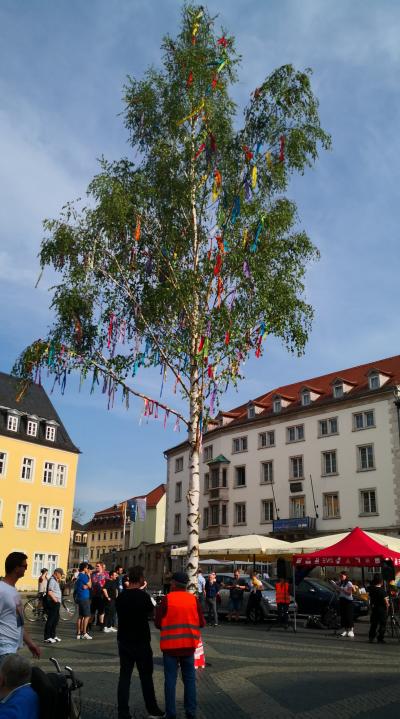 maibaum