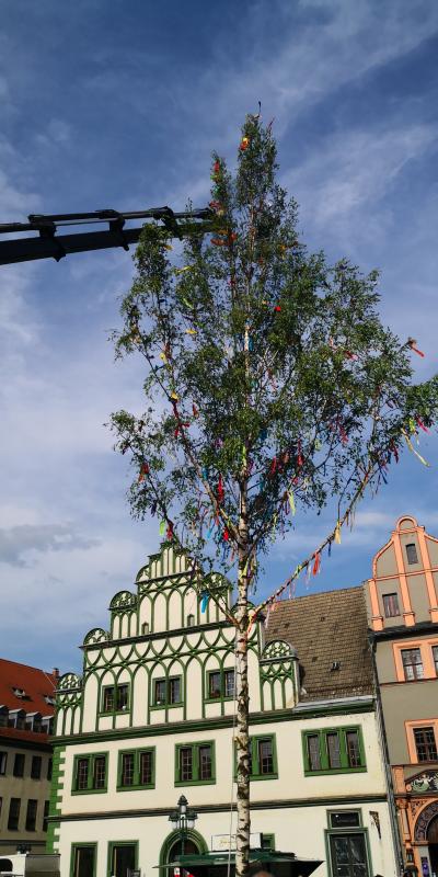 Maibaum