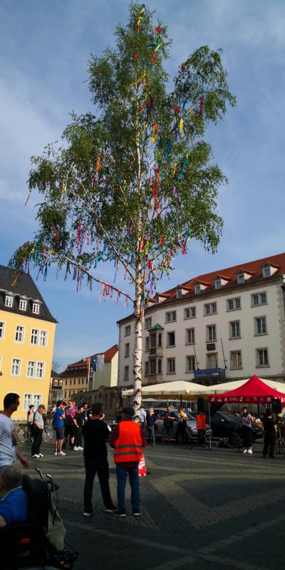 Maibaum