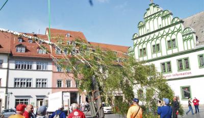 Maibaum